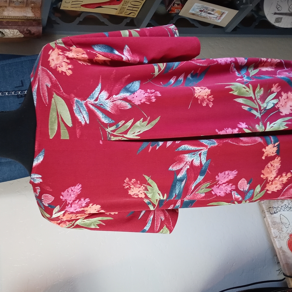 Bundle Of Two Christian Siriano Plus Sizes Dresses - image 5